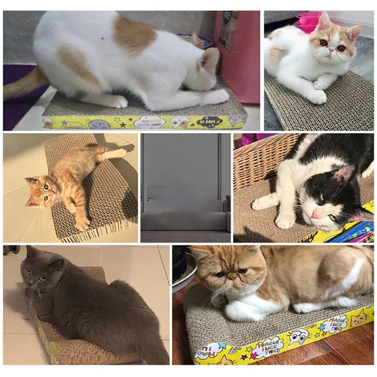 Kartonová škrabadla pro kočky – ochrana nábytku a zábava - Hračky Pro Mazlíčky