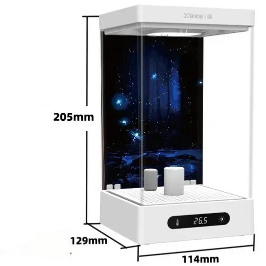 Mini stolní akvárium pro betty – 2 L, ekologické samofiltrovací - Hračky Pro Mazlíčky