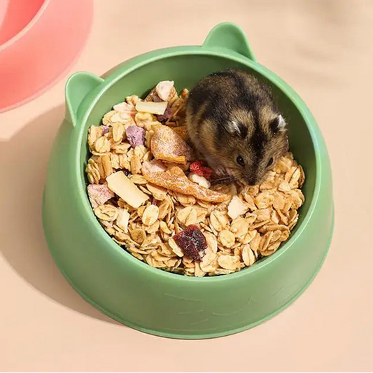 Stabilní miska na krmivo a vodu pro malé mazlíčky - Hračky Pro Mazlíčky